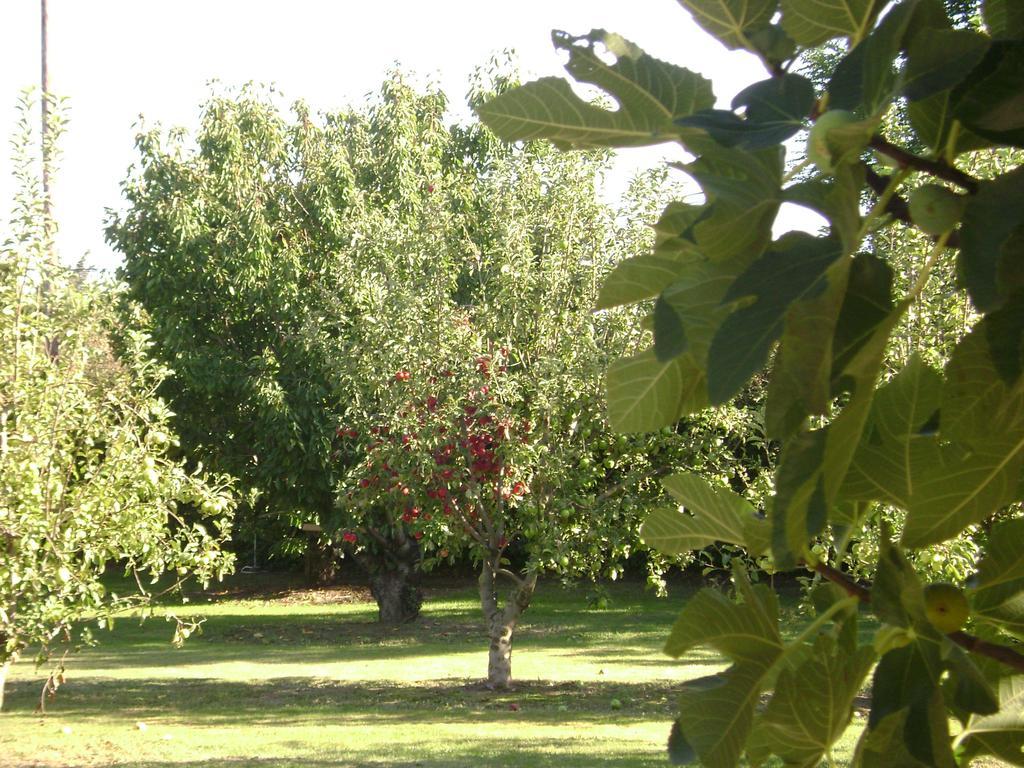 Gite La Gourmandine Saint-Andiol Exterior photo