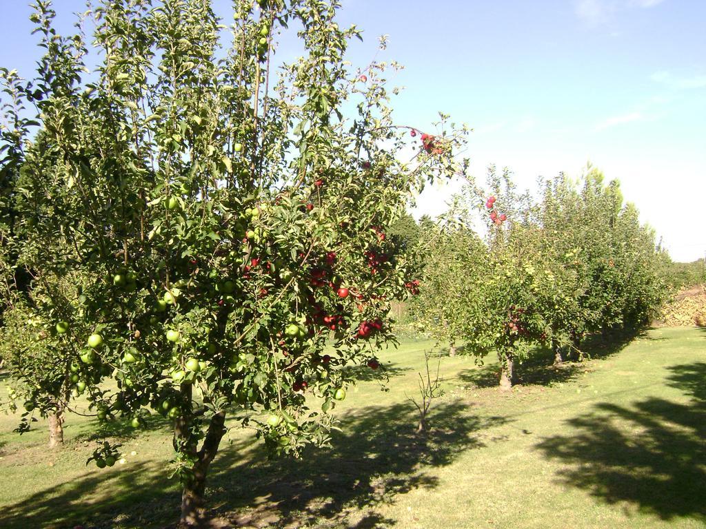 Gite La Gourmandine Saint-Andiol Exterior photo